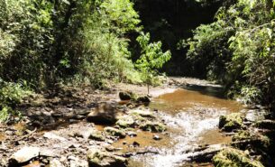 6º vídeo da série sobre a EEF discute expansão da Estação Ecológica