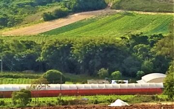 Consultoria Ambiental para Licenciamento