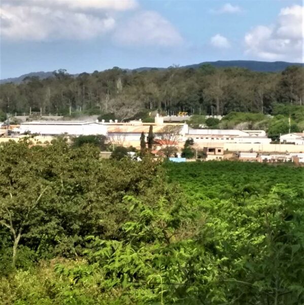 Consultoria Ambiental para Licenciamento