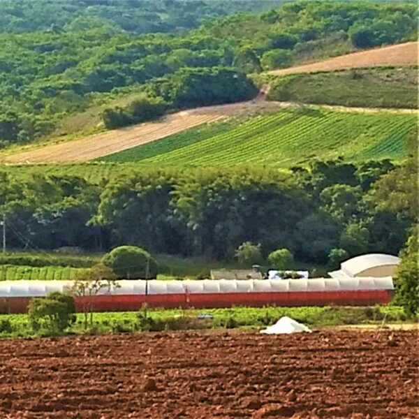 Consultoria Ambiental para Licenciamento