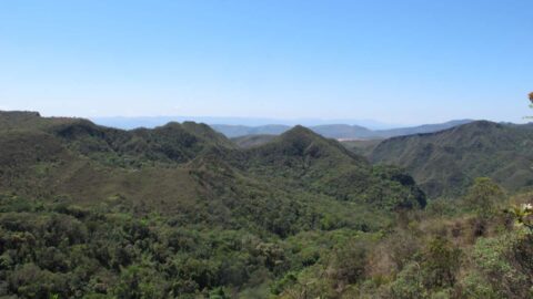 Entenda o que é uma Estação Ecológica Entenda o que é uma Estação Ecológica