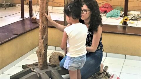 Zoológico de Belo Horizonte recebe Circuito dos sentidos Zoológico de Belo Horizonte recebe Circuito dos sentidos
