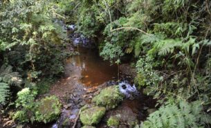 Estação Ecológica de Fechos está em área reconhecida como Reserva da Biosfera