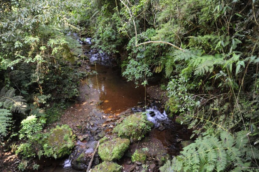 Estação Ecológica de Fechos está em área reconhecida como Reserva da Biosfera