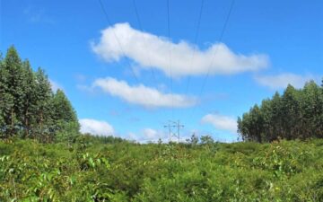 Gestão Ambiental de Redes, Linhas e Subestações