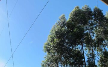 Realocação de Reservas Legais