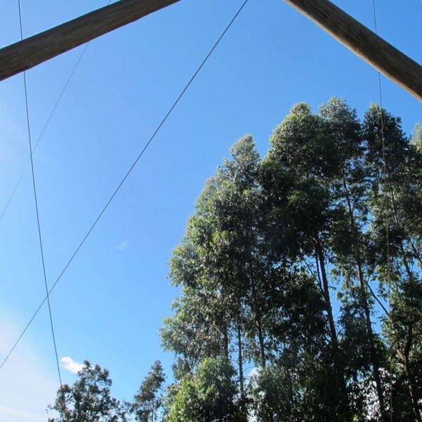 Realocação de Reservas Legais