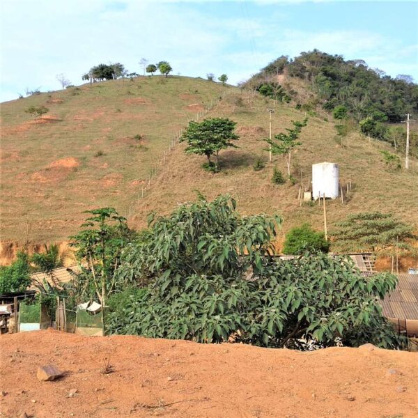 Diagnósticos e Projetos em Imóveis Rurais na Bacia Hidrográfica do Rio Doce