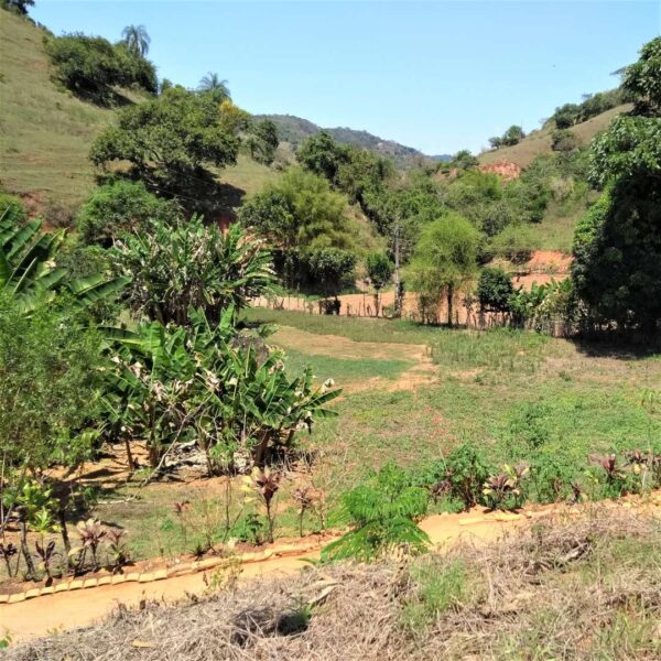 Diagnósticos e Projetos em Imóveis Rurais na Bacia Hidrográfica do Rio Doce