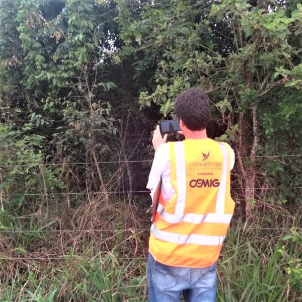 Realocação de Reservas Legais